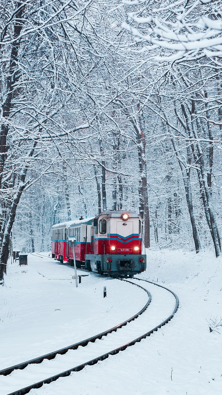 kereta putih, merah, dan biru, kereta api, kereta api, salju, hutan, Wallpaper HD, wallpaper seluler