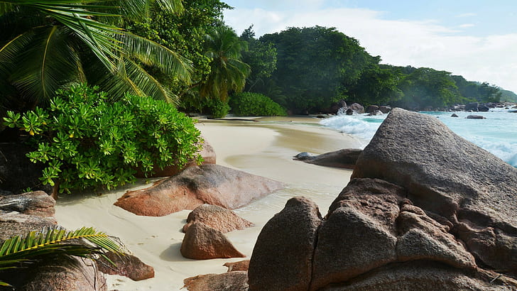 Tropikalna plaża morska, szara skała, tropiki, morze, plaża, fale, skały, palmista, natura, lato, Tapety HD