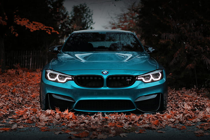 BMW, blu, anteriore, autunno, viso, F80, vista, Sfondo HD