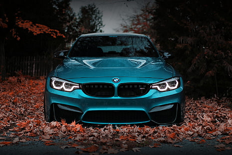 BMW, blu, anteriore, autunno, viso, F80, vista, Sfondo HD HD wallpaper