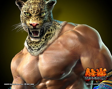 König Tekken 6, Tekken, König, HD-Hintergrundbild HD wallpaper