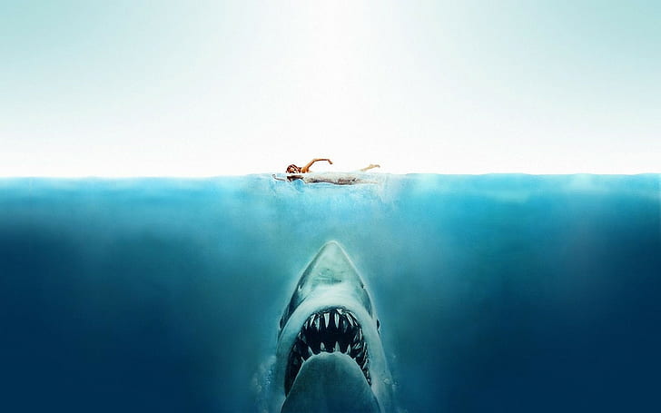 mâchoires films shark split view, Fond d'écran HD