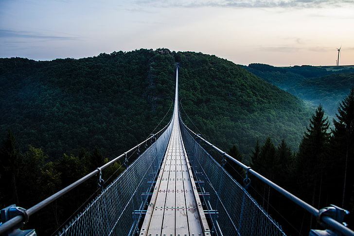 graue Holzbrücke, Brücke, Bäume, hängend, HD-Hintergrundbild