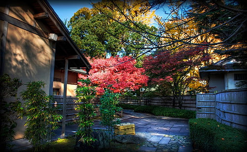 Momiji çay evinin arkasında, pembe yapraklı ağaç, Asya, Japonya, peyzaj, sonbahar, sarı, Photoshop, fotoğraf, canon, diyafram, Chubu, Honshu, Photomatix Pro, Okazaki şehir, Aichi Prefecture, Mikawa, Japon akçaağaç, çay evi, HD masaüstü duvar kağıdı HD wallpaper