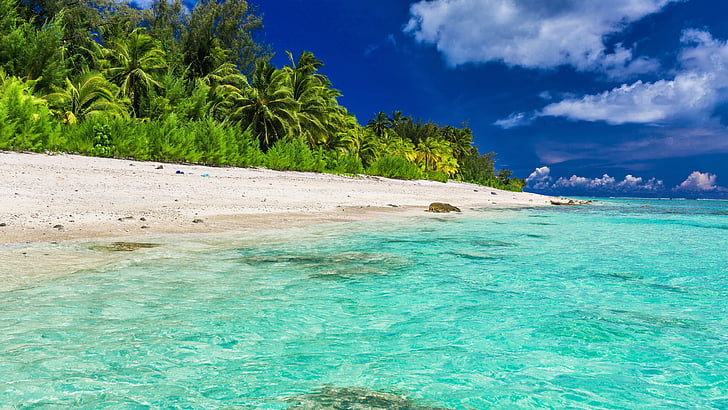 лагуна, палми, палма, лятно време, лято, Малдиви, тропически плаж, плаж, небе, вода, залив, тропически, ваканция, океан, крайбрежие, тюркоаз, остров, бряг, тропици, Карибите, море, HD тапет
