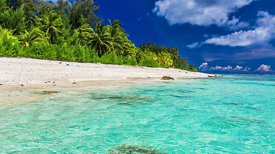 laguna, palmy, palma, lato, lato, Malediwy, tropikalna plaża, plaża, niebo, woda, zatoka, tropikalny, wakacje, ocean, wybrzeże, turkus, wyspa, brzeg, kraje tropikalne, Karaiby, morze, Tapety HD HD wallpaper