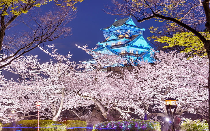 Замки, Замок Осака, Япония, Осака, Замок Оска, Весна, HD обои