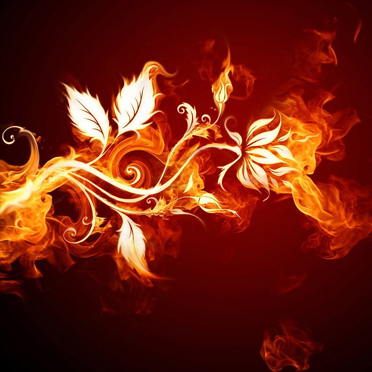 fire, flowers, HD wallpaper