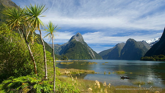 Milford Sound, Park Narodowy Fjordland, Wyspa Południowa, Nowa Zelandia, Oceania, Tapety HD HD wallpaper