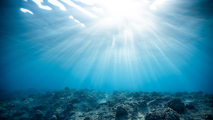 bawah air, air, biru, laut, sinar matahari, terumbu karang, karang, Wallpaper HD