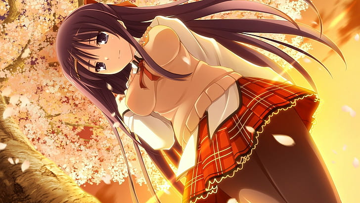 Manga, Anime Girls, dicke Titten, Anime, HD-Hintergrundbild