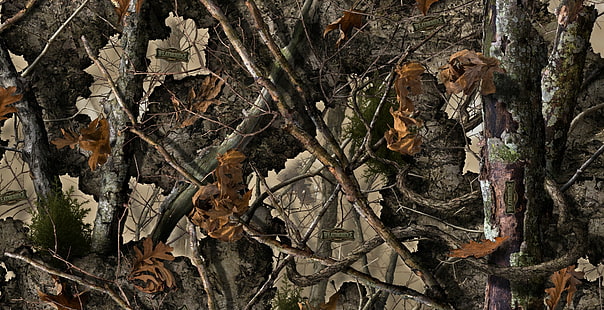 camuflagem, camuflagem da floresta, HD papel de parede HD wallpaper
