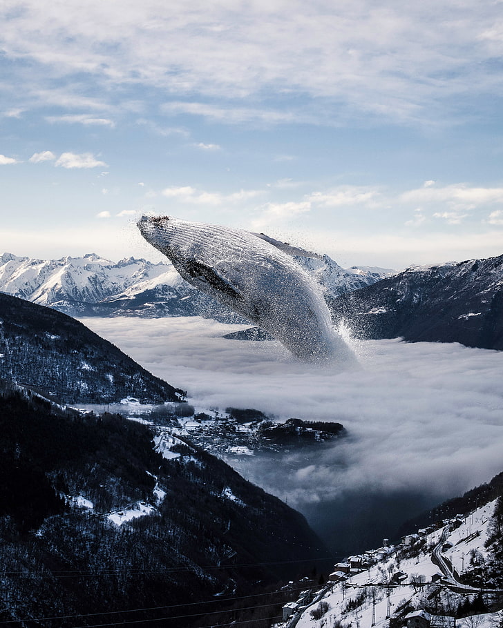 4K, Mountains, Whale, Winter, Fog, HD wallpaper