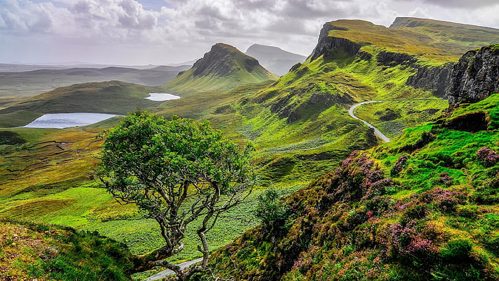 斜面、孤独な木、ヨーロッパ、孤独な木、イギリス、イギリス、GB、湖、池、山の風景、急な斜面、緑の丘、丘、丘、スカイ島、スコットランド、風景、自然、 HDデスクトップの壁紙