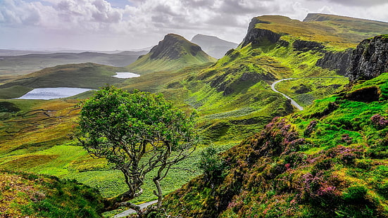 斜面、孤独な木、ヨーロッパ、孤独な木、イギリス、イギリス、GB、湖、池、山の風景、急な斜面、緑の丘、丘、丘、スカイ島、スコットランド、風景、自然、 HDデスクトップの壁紙 HD wallpaper