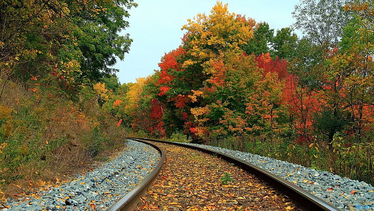 Binari del treno attraverso una foresta d'autunno, foreste, foglie, autunno, rocce, binari del treno, natura e paesaggi, Sfondo HD