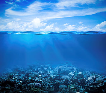 barriera corallina 4K sfondo, Sfondo HD HD wallpaper