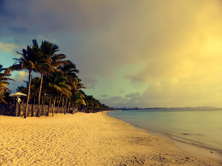 белый песчаный пляж с пальмами под бело-голубым облачным небом в дневное время, закат, лучший, пицца, белый, песчаный пляж, пальмы, синий, облачно, небо, дневное время, море, отдых, Маврикий, остров, тропический, Индийский океан,турист, Trou aux Biches, оранжевый, впечатляющий, пляж, природа, лето, тропический климат, береговая линия, пальма, песок, каникулы, на открытом воздухе, дерево, идиллический, HD обои