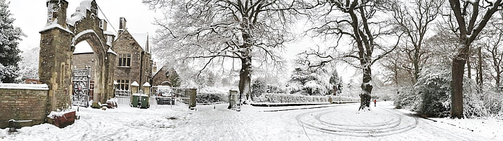 сняг и дървета, сняг, зима, HD тапет