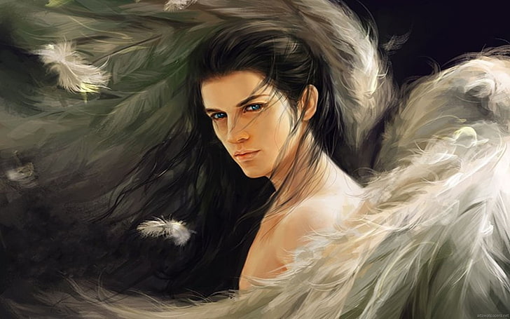 hombre con plumas ilustración, fantasía, ángel, arcángel Miguel!, Fondo de pantalla HD