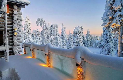 gündüz, bina, kış, ışıklar, ağaçlar, kar sırasında karla kaplı Küpeşte, HD masaüstü duvar kağıdı HD wallpaper