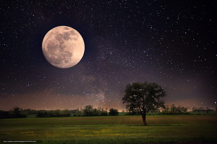 natürliches Licht, Landschaft, Mond, Nacht, Feld, HD-Hintergrundbild