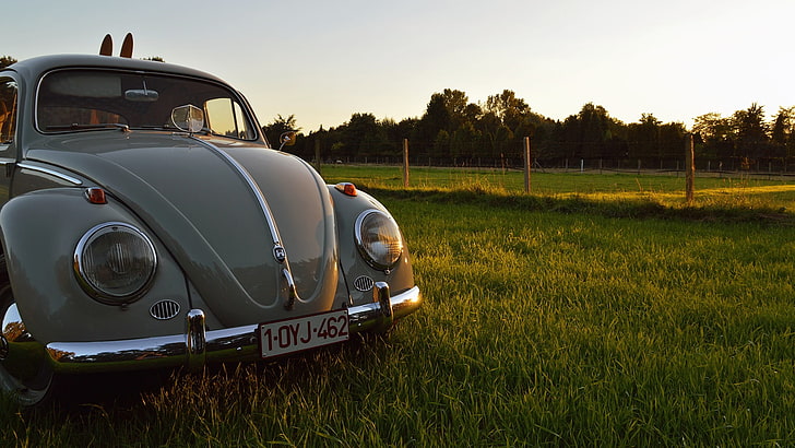 Volkswagen Beetle vert garé sur le terrain avec gazon, Volkswagen, Volkswagen Beetle, voiture, Oldtimer, vintage, Fond d'écran HD