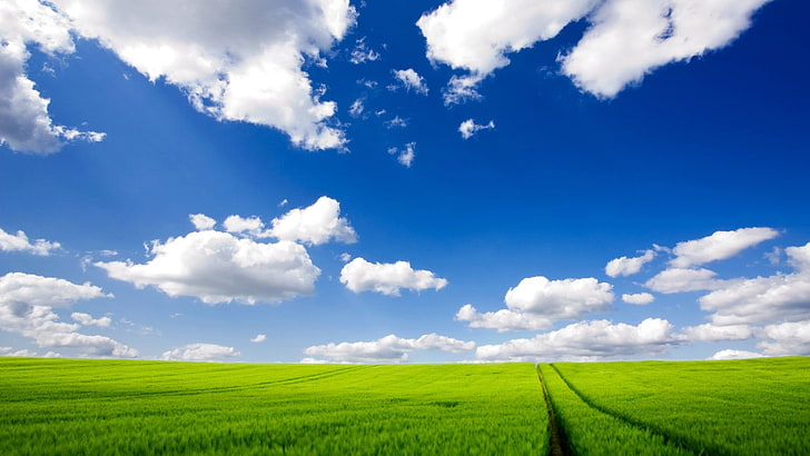 1920x1080 px chmury Zielony krajobraz natura niebo Natura zbliżenie HD Art, przyroda, chmury, zieleń, krajobraz, niebo, 1920x1080 px, Tapety HD