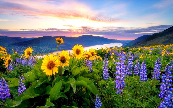 ดอกไม้ฤดูใบไม้ผลิภูเขาทะเลสาบเนินเขาเมฆแดงพระอาทิตย์ตกพื้นหลังเดสก์ทอป HD ดาวน์โหลดฟรี 3840 × 2400, วอลล์เปเปอร์ HD