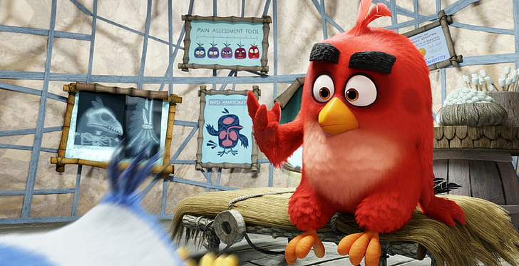 angry birds movie 4k  download  for pc hd, HD wallpaper