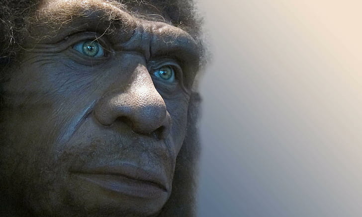 hombre de neanderthal, cara, cabello, hombre de neanderthal, cara, cabello, Fondo de pantalla HD