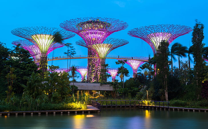 Supertree Grove, Gardens by the Bay, Singapore, purple and brown tower garden, Asia, Singapore, City, Travel, Colorful, Beautiful, Night, Modern, Garden, Trees, Building, Artificial, Architecture, Amazing, Giant, Park, Cityscape, Outdoors, Attraction, Evening, Downtown, Marina, Destination, visit, capital, landmark, tourism, manmade, Gardens by the Bay, supertrees, Supertree Grove, HD wallpaper