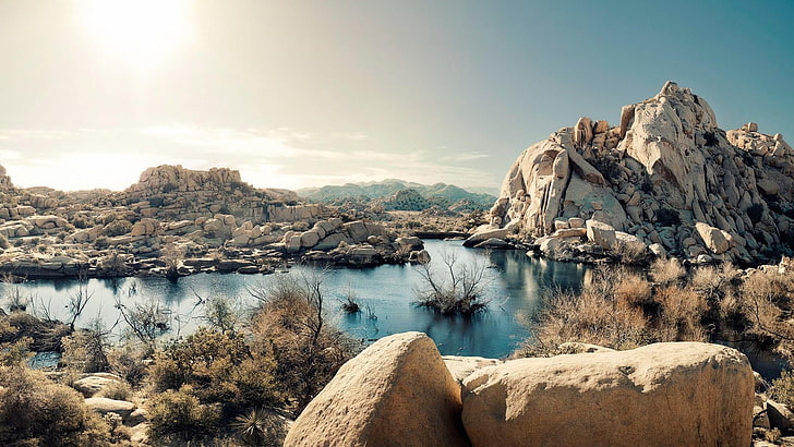 Joshua Tree Nationalpark, Nationalpark, Wüste, Vereinigte Staaten, Kalifornien, See, Mojave-Wüste, Sonnenschein, Himmel, sonnig, Sonne, Gras, Felsen, Felsen, felsig, HD-Hintergrundbild