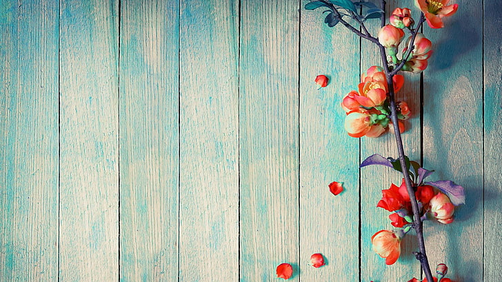 bunga, kelopak, tanaman, kayu, meja, Wallpaper HD