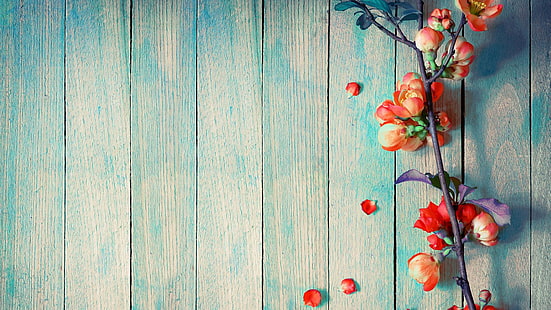 flowers, petals, plant, wooden, table, HD wallpaper HD wallpaper