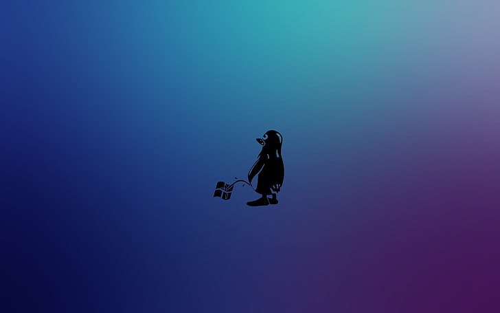 logo penguin hitam, Linux, Tux, Microsoft, Windows 8, Wallpaper HD
