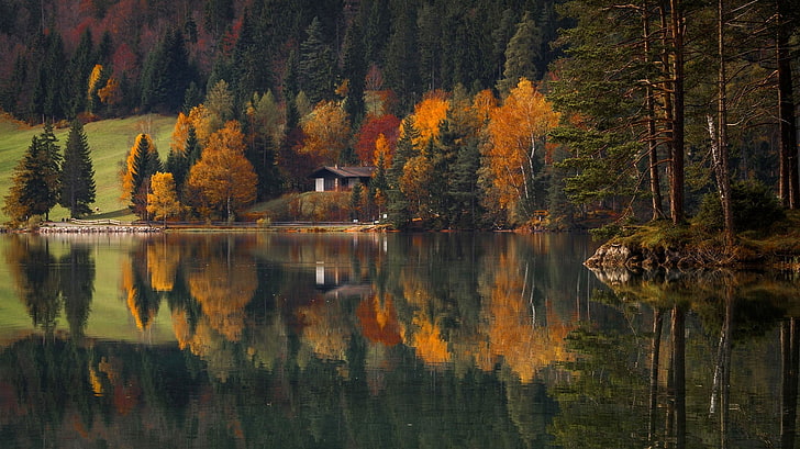 Cabane en bois marron au bord d'un lac dans un plan de réflexion, paysage, nature, lac, forêt, maison, automne, réflexion, eau, arbres, Fond d'écran HD