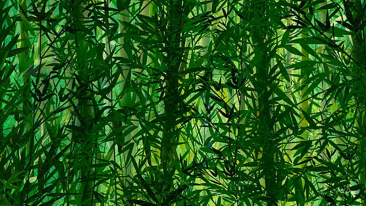 Bambu Liar, pohon bambu hijau, pohon, hutan, musim semi, bambu, hijau, musim panas, alam dan lanskap, Wallpaper HD