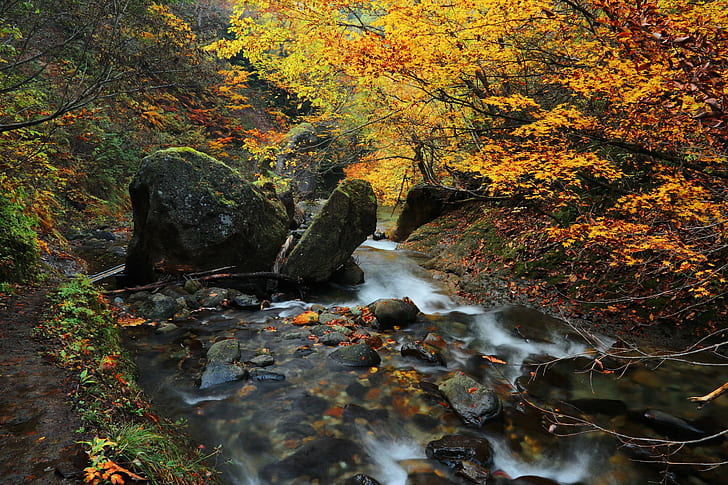 Herbst, Bach, Japan, Moos, Perfectura, Präfektur, Fluss, Stein, Zweige, Holz, Yamagata, HD-Hintergrundbild