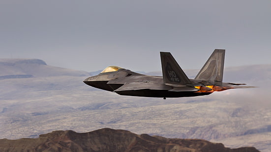 grauer Jet, Flugzeug, F-22 Raptor, Militärflugzeug, Flugzeug, HD-Hintergrundbild HD wallpaper