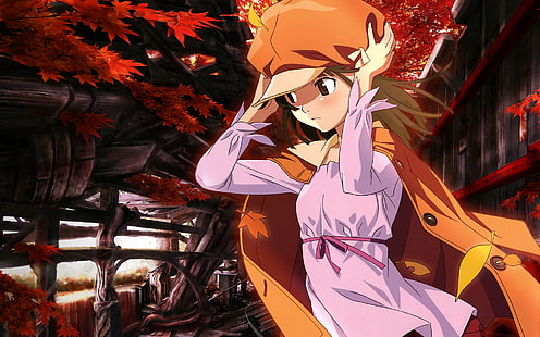Anime, Monogatari (Serie), Bakemonogatari, Nadeko Sengoku, HD-Hintergrundbild HD wallpaper