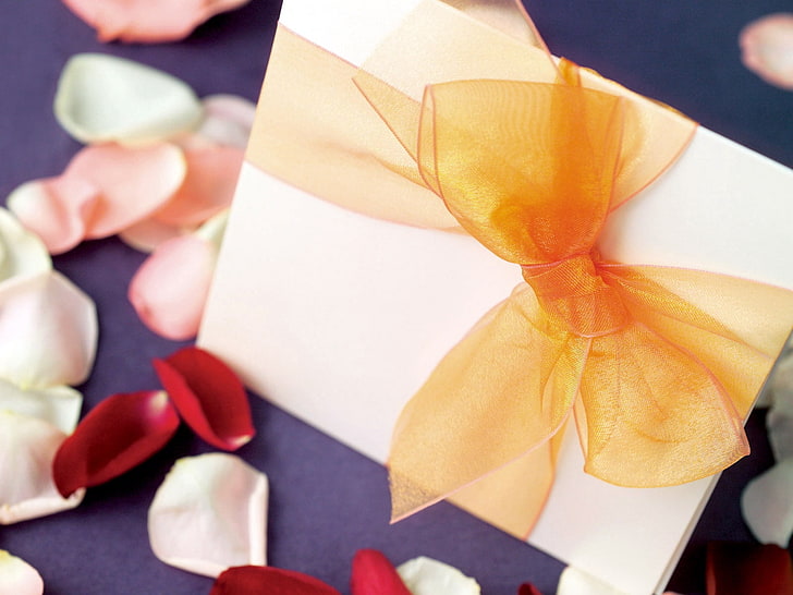 white invitation card, petals, envelope, love, romance, HD wallpaper