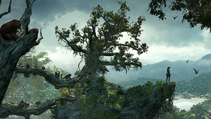 Tomb Raider, Lara Croft, Jeu Vidéo, Ombre de la Tombe, Fond d'écran HD