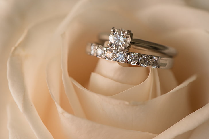 맑은 보석, 꽃, 장미, 반지, 결혼식을 가진 여자의 은색 반지, HD 배경 화면