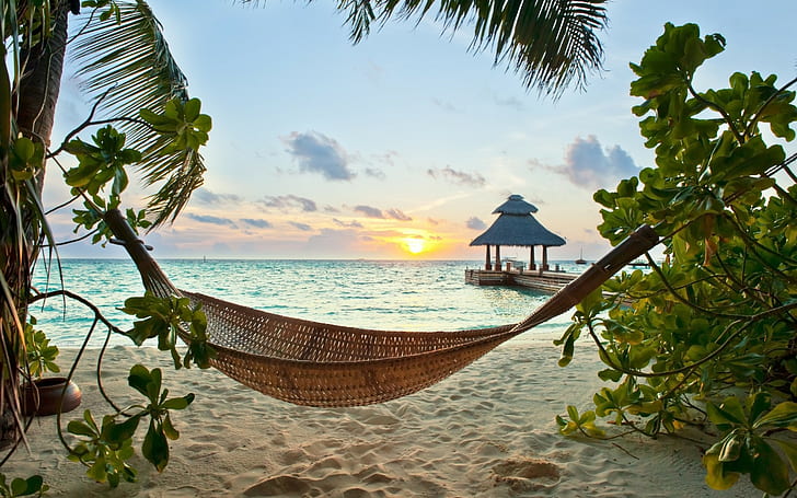 Summertime Paradise, tropical, paradise, beach, palms, Sea, Ocean, sunshine, summer, vacation, hammock, SummerTime, HD wallpaper