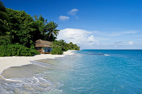 krajobraz, tropikalny, wyspa, morze, piasek, domek, palmy, Tapety HD HD wallpaper