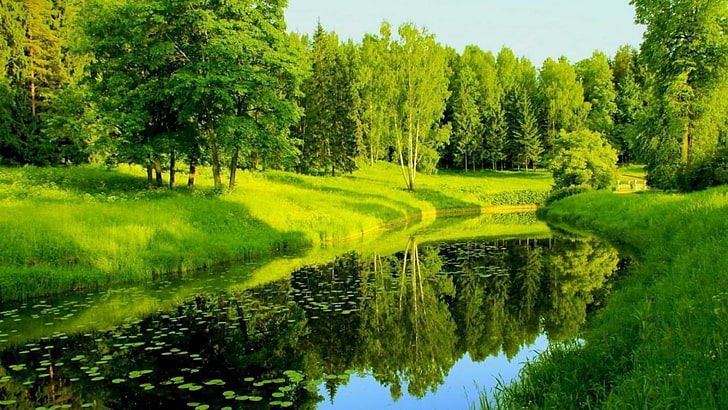 ภาพสะท้อน, ธรรมชาติ, พืชพันธุ์, แม่น้ำ, คลอง, สีเขียว, น้ำ, ทุ่งหญ้า, ธนาคาร, พื้นที่ชุ่มน้ำ, วอลล์เปเปอร์ HD