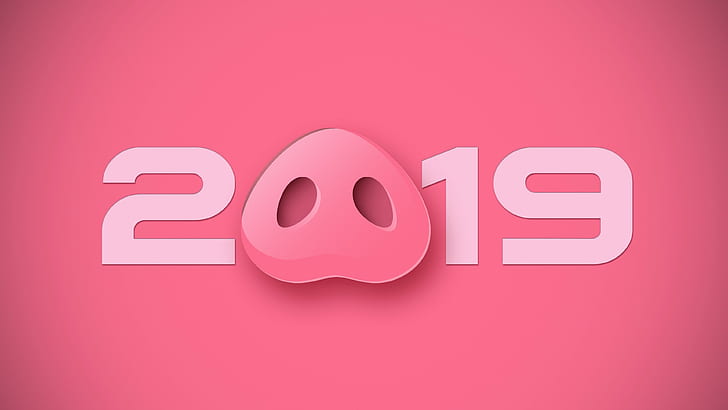 pig nose, pig, 2019, pig snout, new year, happy new year, chinese new year, the year of pig, chinese, horoscope, chinese horoscope, pink, HD wallpaper