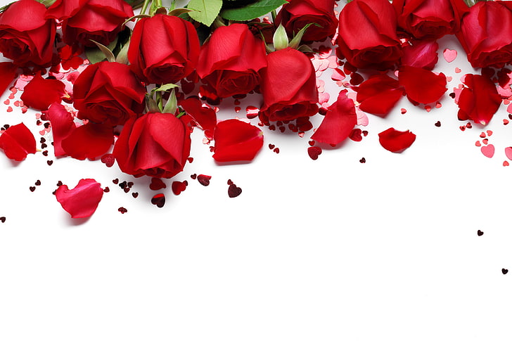 hearts, red, love, flowers, romantic, Valentine's Day, gift, roses, red roses, HD wallpaper