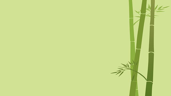 zielone tło, bambus, Tapety HD